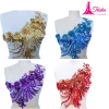 beaded applique collection